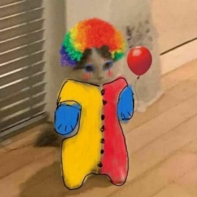 mimus pfp