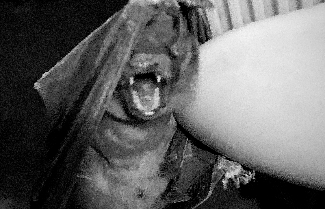 mmtvr.lens Lens social identity (.lens handle) PFP