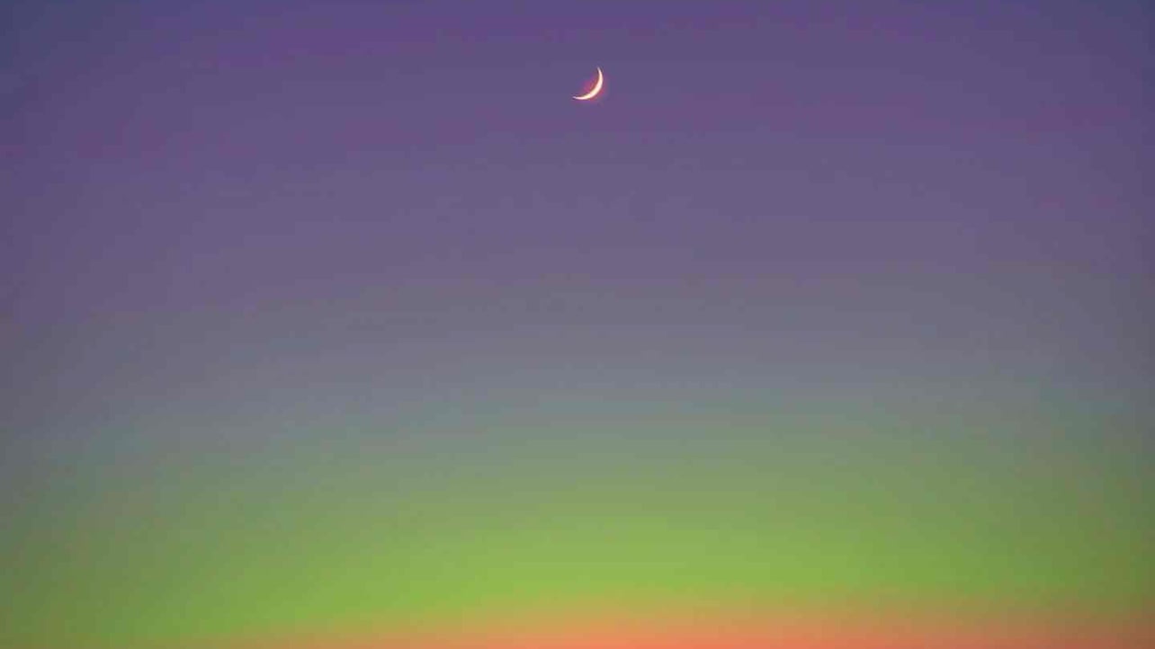 bigson.lens Lens social identity (.lens handle) PFP