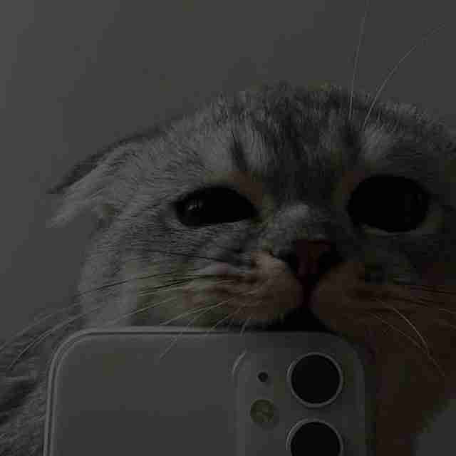 Anton Shadow (foreks) Farcaster social identity (Fname handle) PFP