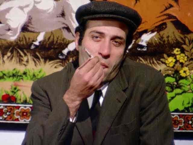 Tamer (tradertamer.lens) Lens social identity (.lens handle) PFP