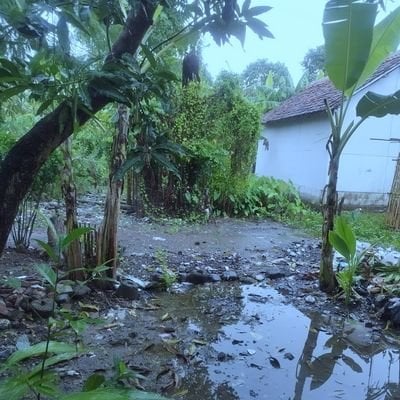 0xbravoos Farcaster social identity (Fname handle) PFP