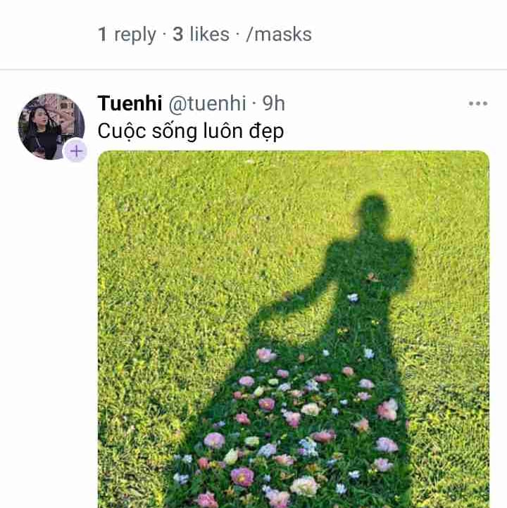 Formen pfp