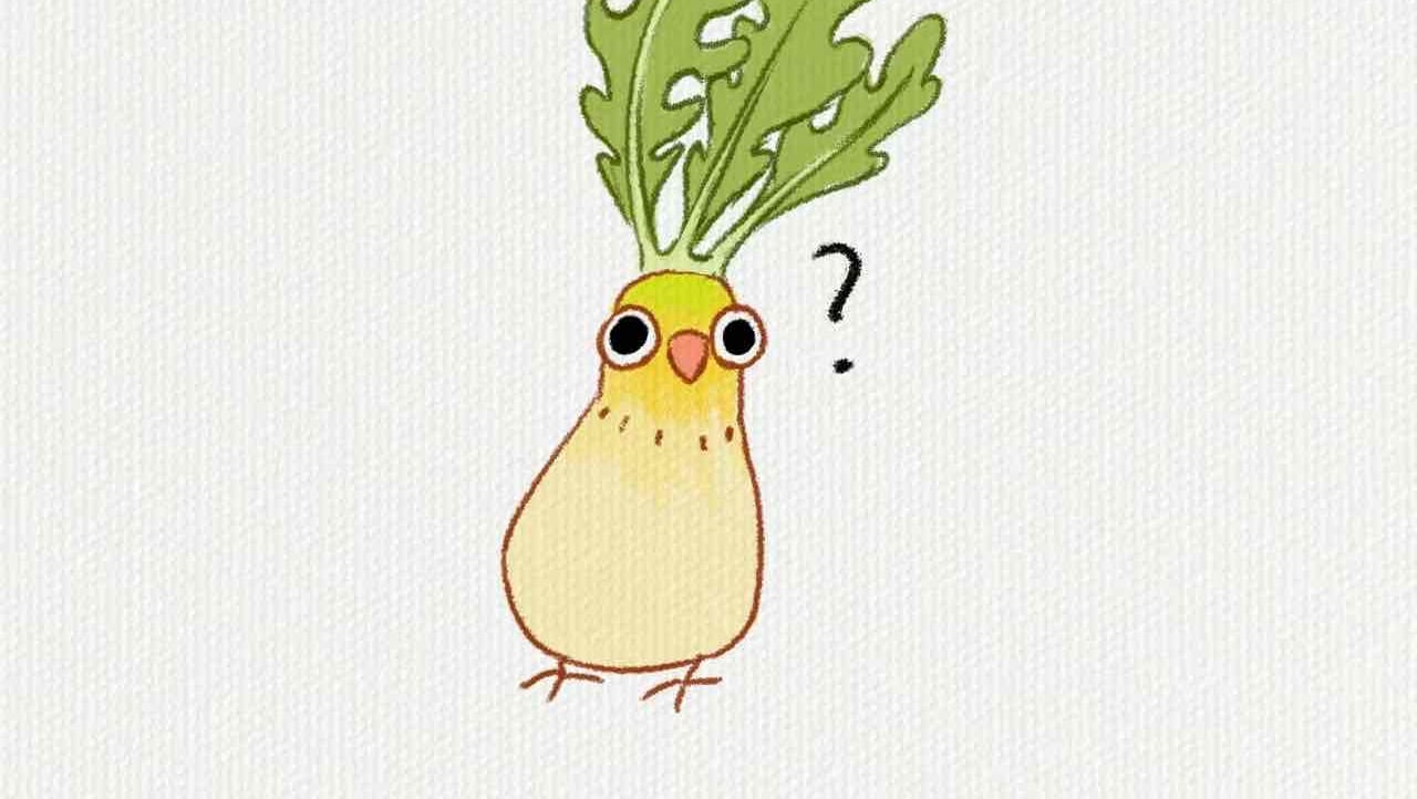 yyxymh.lens Lens social identity (.lens handle) PFP