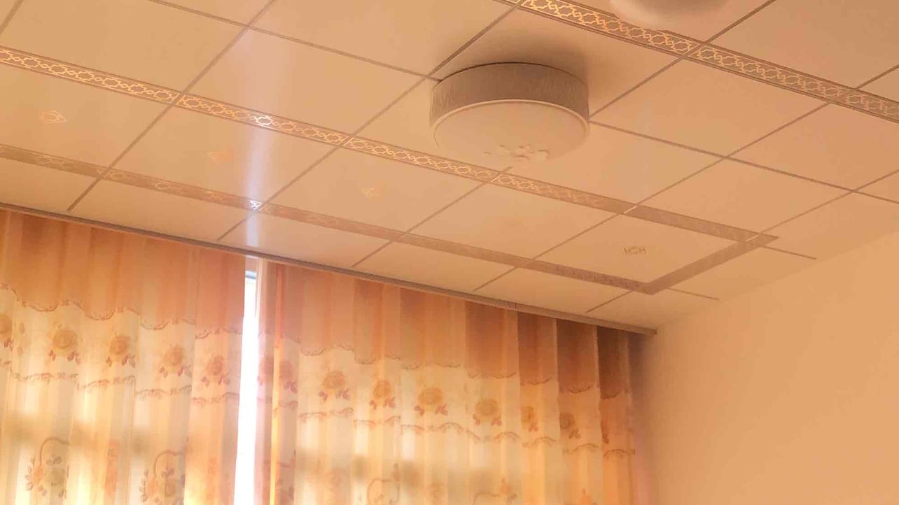 zoro (50405.lens) Lens social identity (.lens handle) PFP