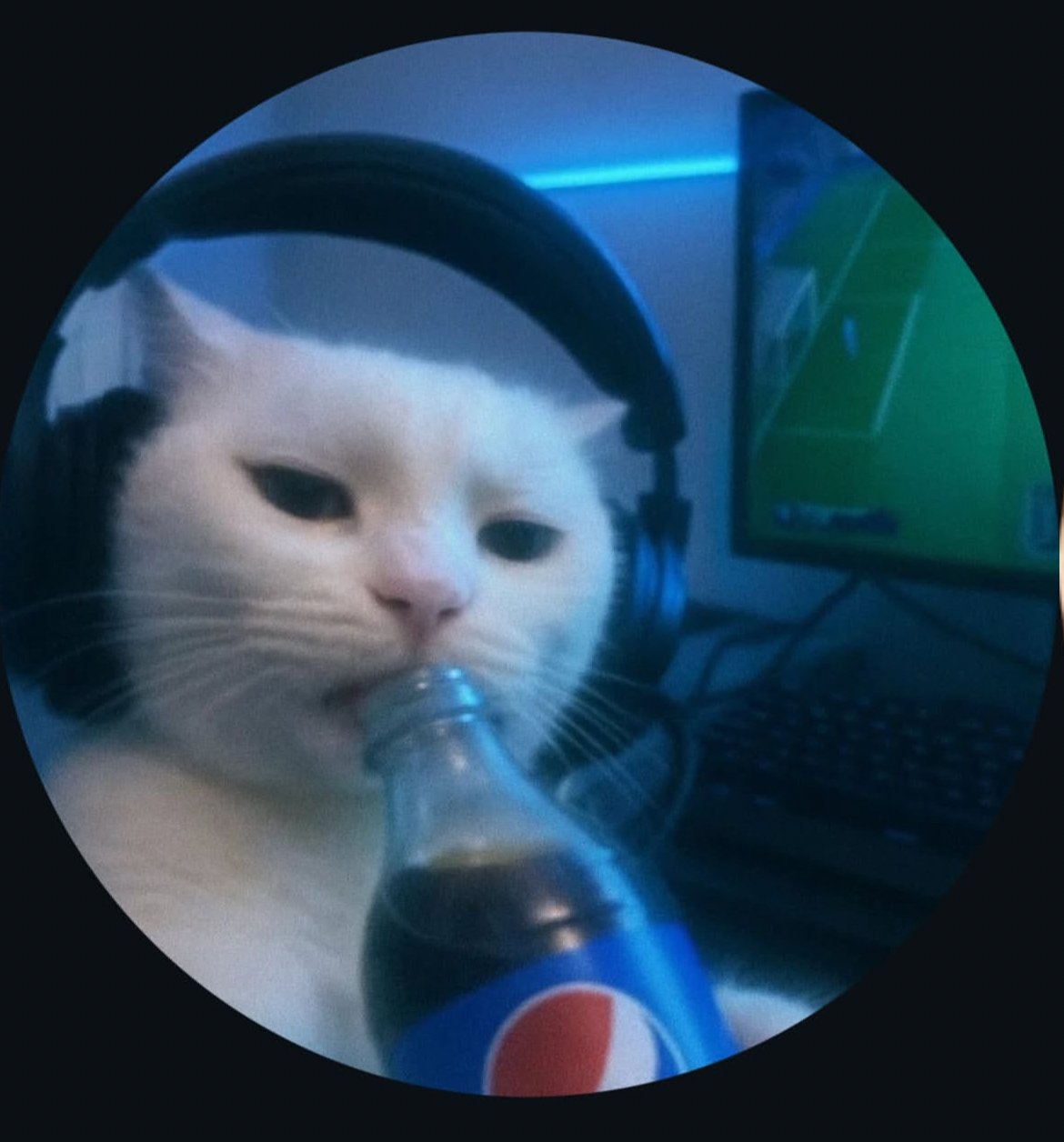 Its_kr 🧬 pfp