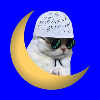 Official RMDN pfp
