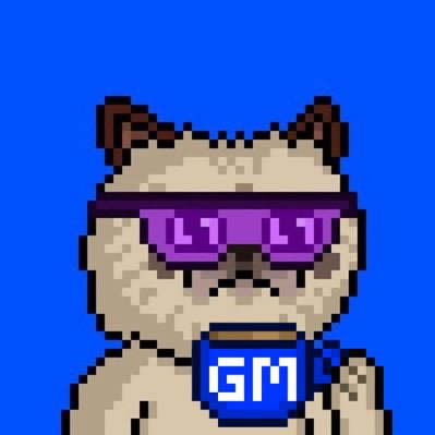meow!? pfp