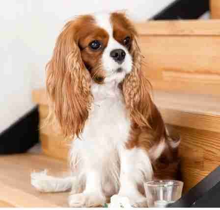 lordgrim38.linea.eth Linea Name Service (.linea.eth domains) based on ENS PFP