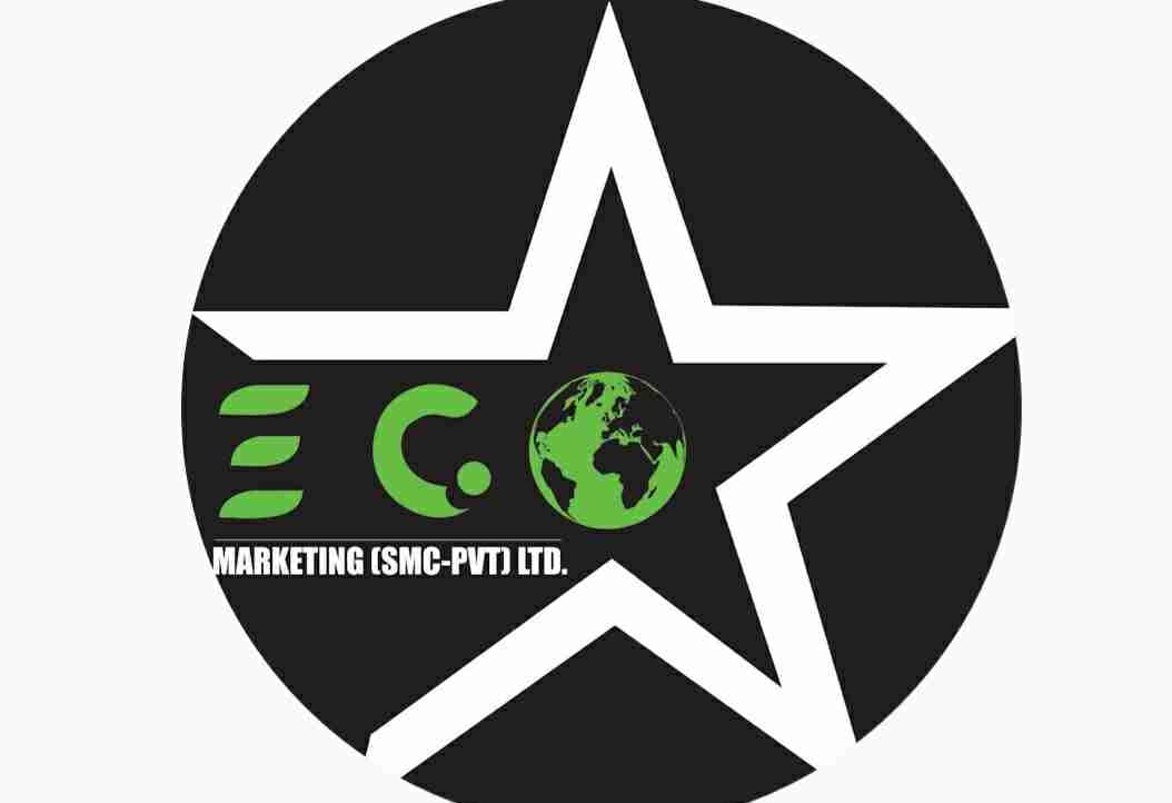 Eco Star 💫 pfp