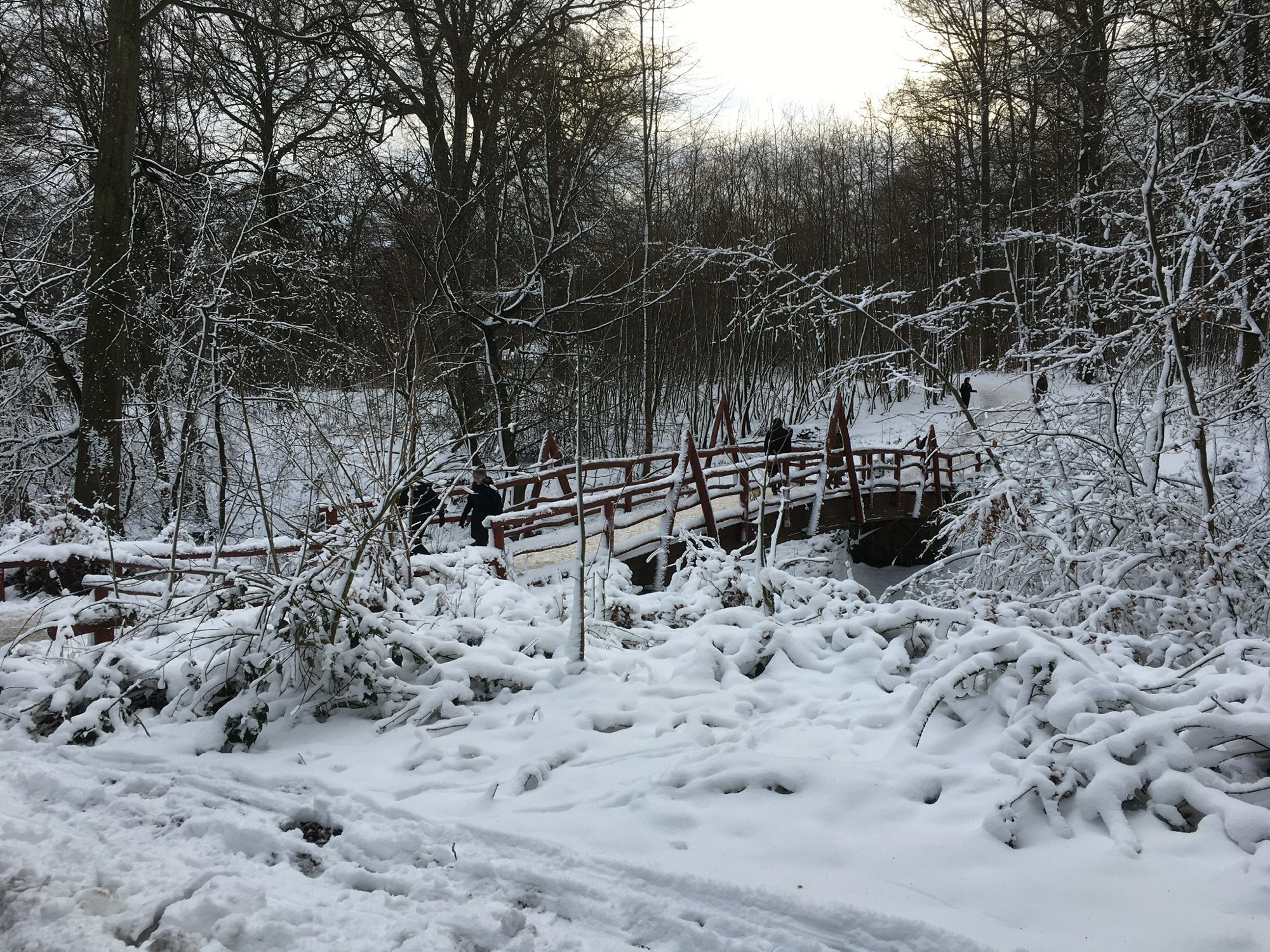 Joan (joanbp) Farcaster social identity (Fname handle) PFP