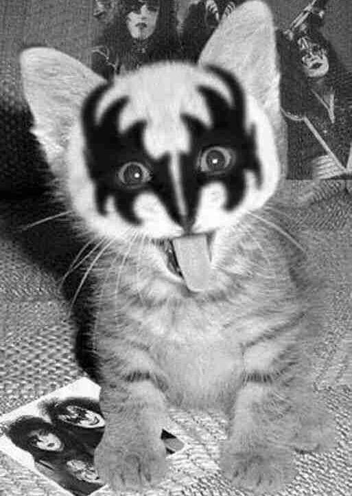 dinarasadvak Farcaster social identity (Fname handle) PFP