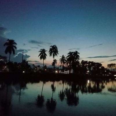 Juseb pfp