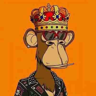 APE invest pfp