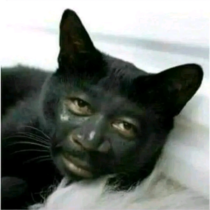 Yogaa01 pfp