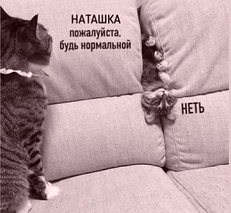 https://imagedelivery.net/BXluQx4ige9GuW0Ia56BHw/ed725aef-3142-4ba9-7801-44bf726c9000/original