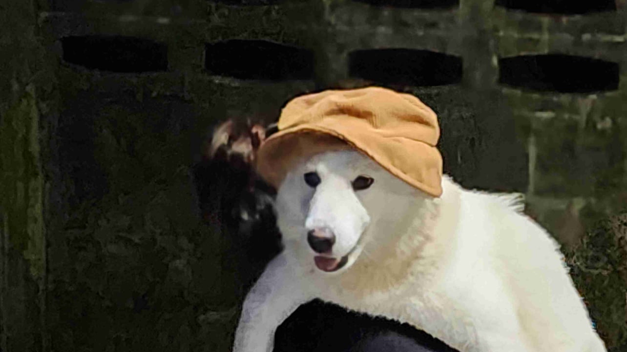 👑duketalon.base.eth Basenames (.base.eth domains) based on ENS PFP