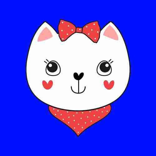 Girly Cat pfp