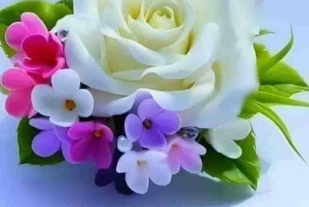 Zakir Hussain (zakir990) Farcaster social identity (Fname handle) PFP