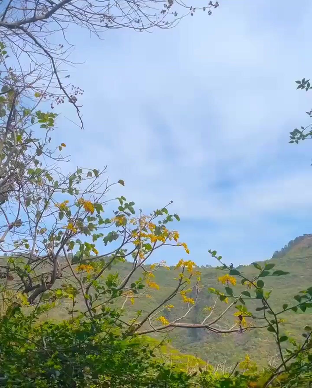 Cast video