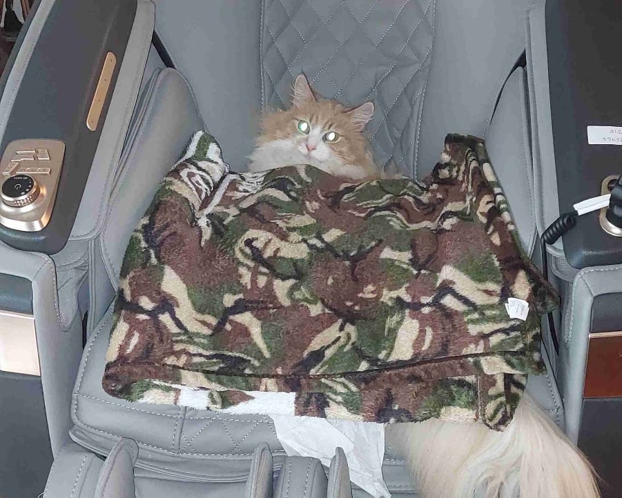 Rose (cryptorose30) Farcaster social identity (Fname handle) PFP