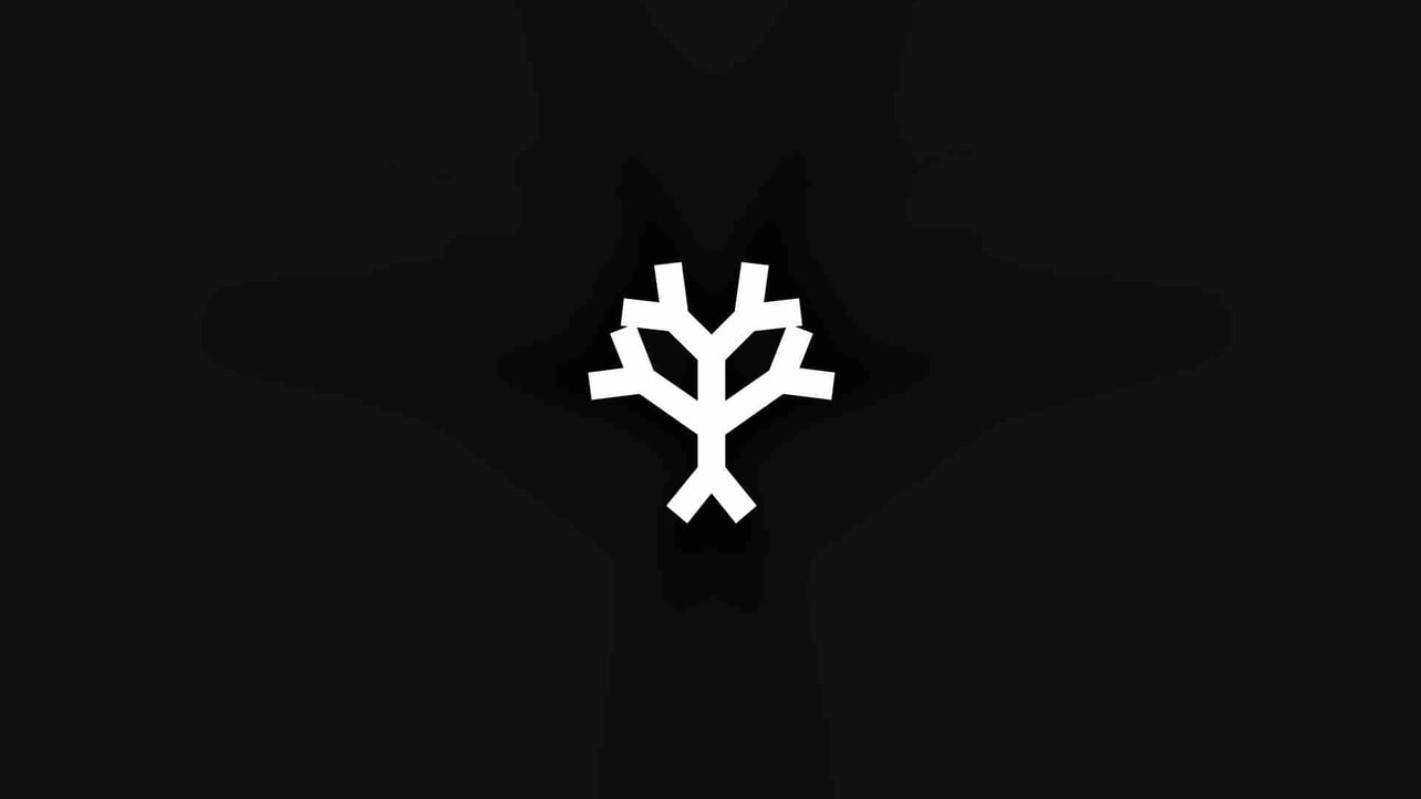 Lnation917 pfp