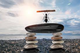 88888000002.base.eth Basenames (.base.eth domains) based on ENS PFP