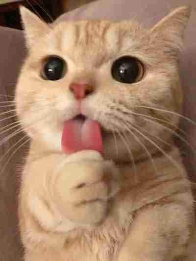 Nydia31 (nydia31) Farcaster social identity (Fname handle) PFP