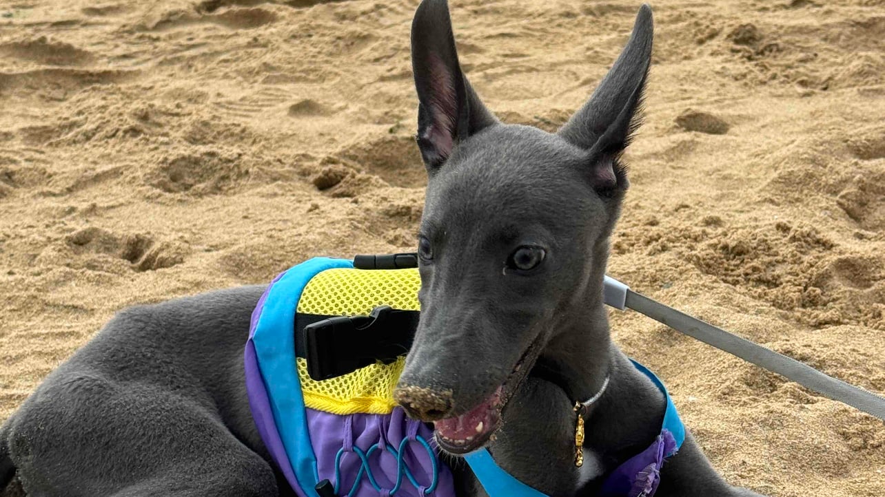 Tharaka (tharaka360) Farcaster social identity (Fname handle) PFP