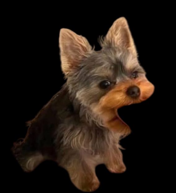 Pac Dog