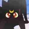 RookdoAllysi pfp