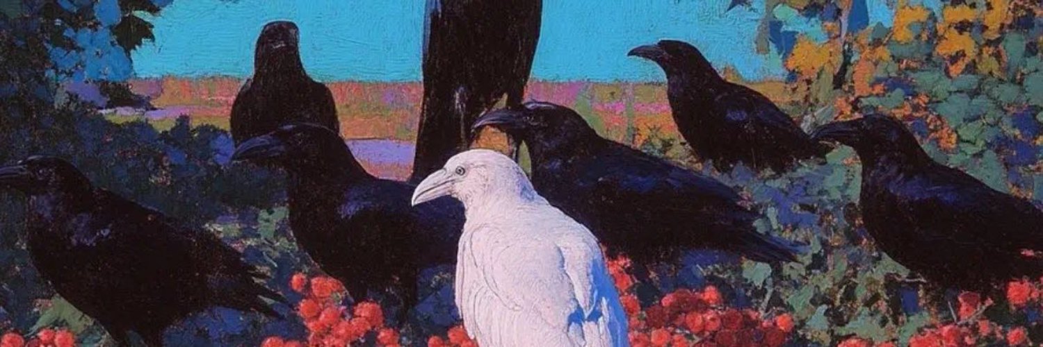 fsjnnns.lens Lens social identity (.lens handle) PFP