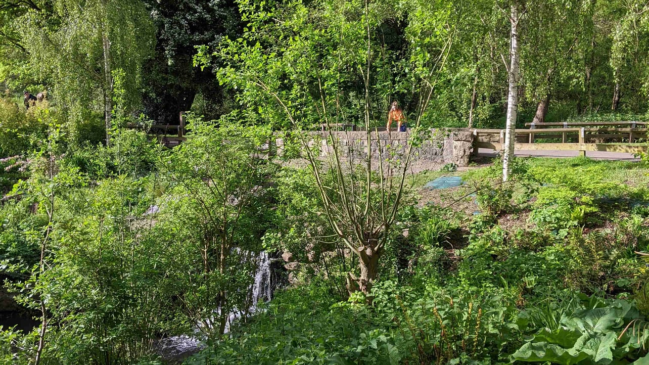 Vjslav (luckyfox707) Farcaster social identity (Fname handle) PFP