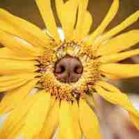 Gordey ◱ ◱ (etjhstrgyjgjdfydjgy.lens) Lens social identity (.lens handle) PFP