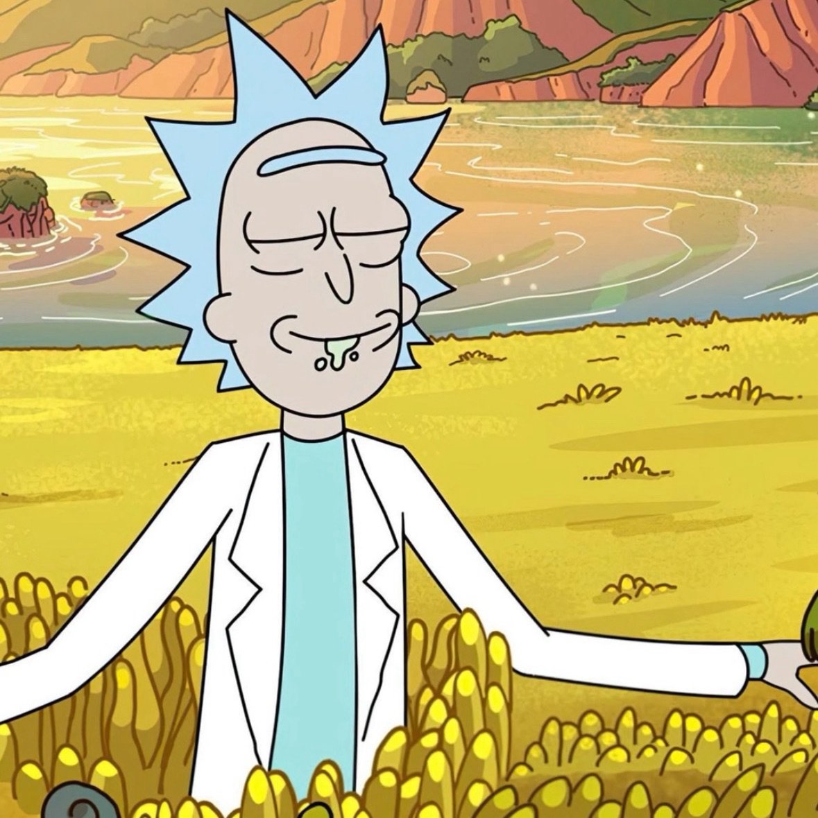 Gokturk (gokturk.lens) Lens social identity (.lens handle) PFP