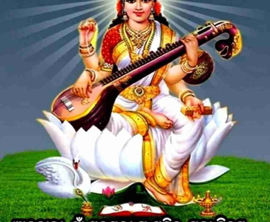 sanjiv samal (sanjiv.lens) Lens social identity (.lens handle) PFP