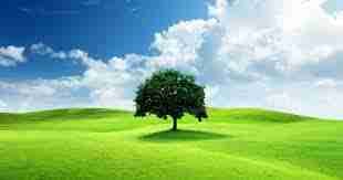 Frank Mitchell (frankmitchell) Farcaster social identity (Fname handle) PFP