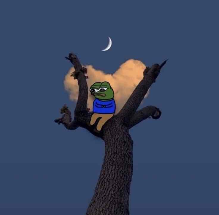 Kakashi pfp