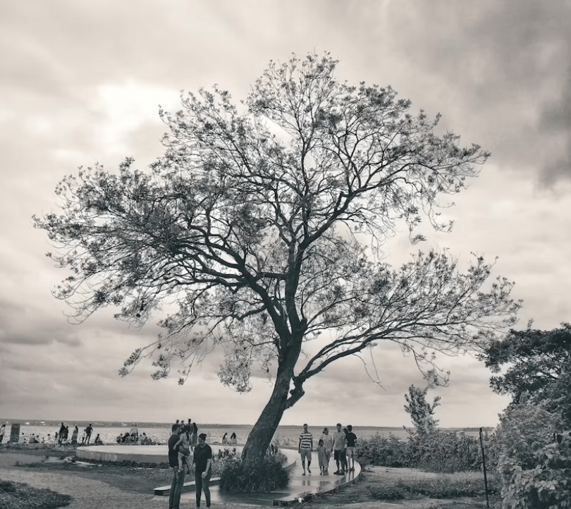 MindfulYogi (oettingarsenio) Farcaster social identity (Fname handle) PFP