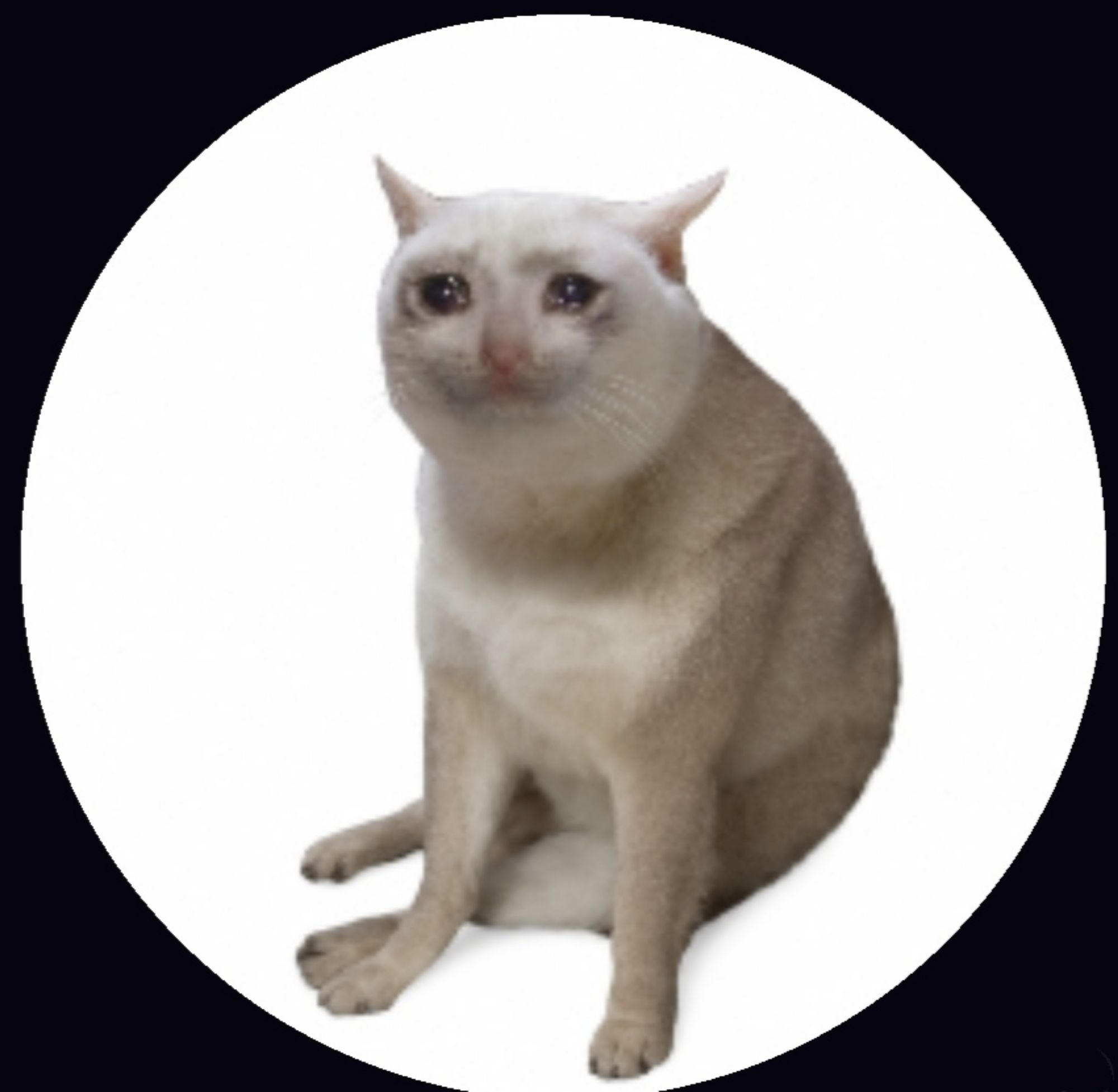 trollscat
