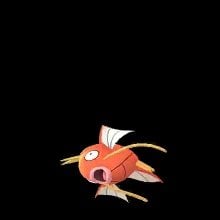 Gyrarados pfp
