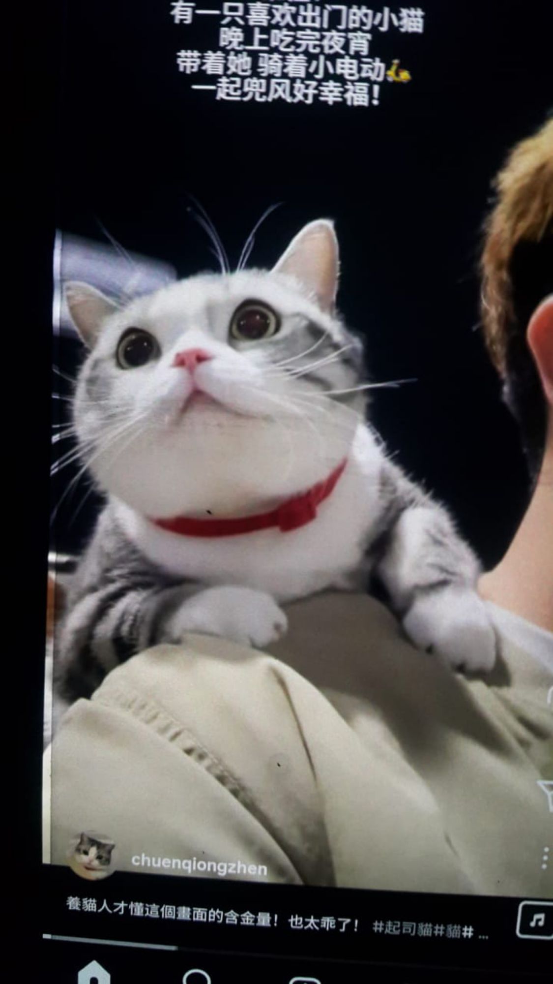 MOE CAT