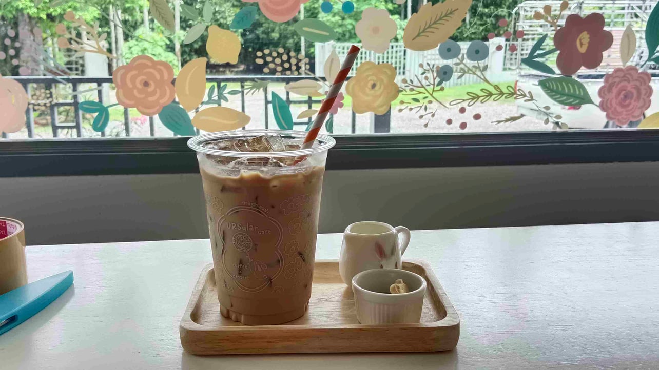 wlzomer.lens Lens social identity (.lens handle) PFP