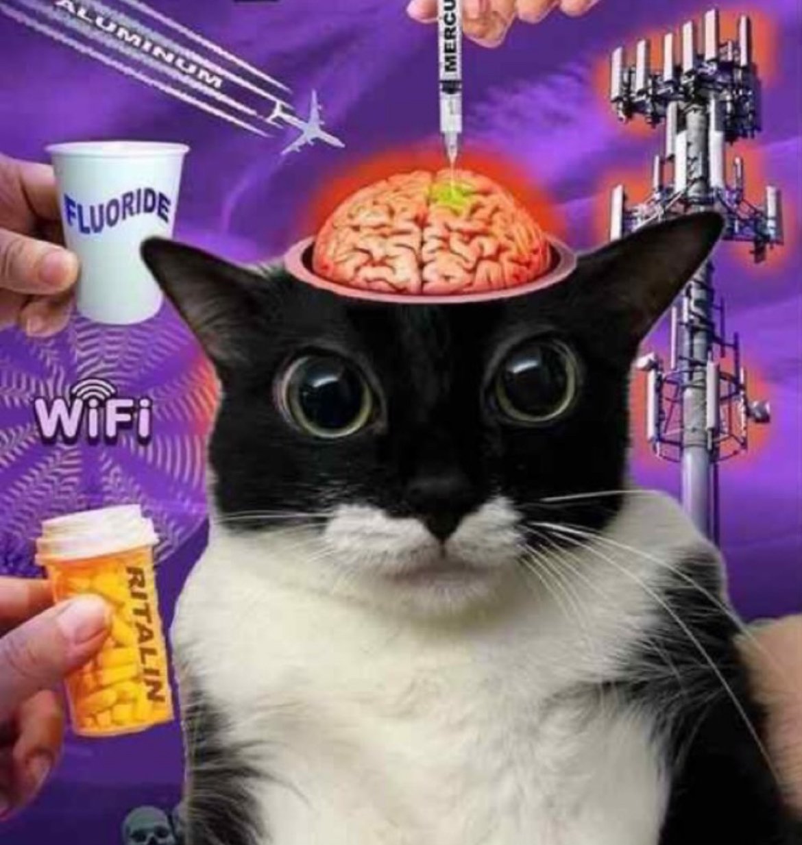 Wibowo (wibowo) Farcaster social identity (Fname handle) PFP