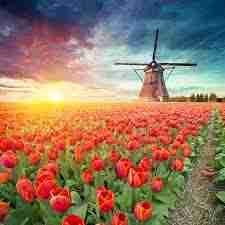 Charles Coleman (charlescoleman) Farcaster social identity (Fname handle) PFP