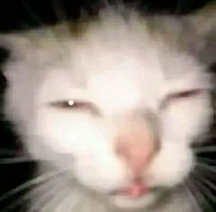 EcomBot pfp