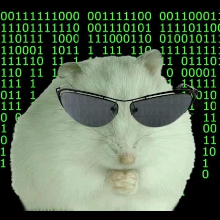 matrixmouese