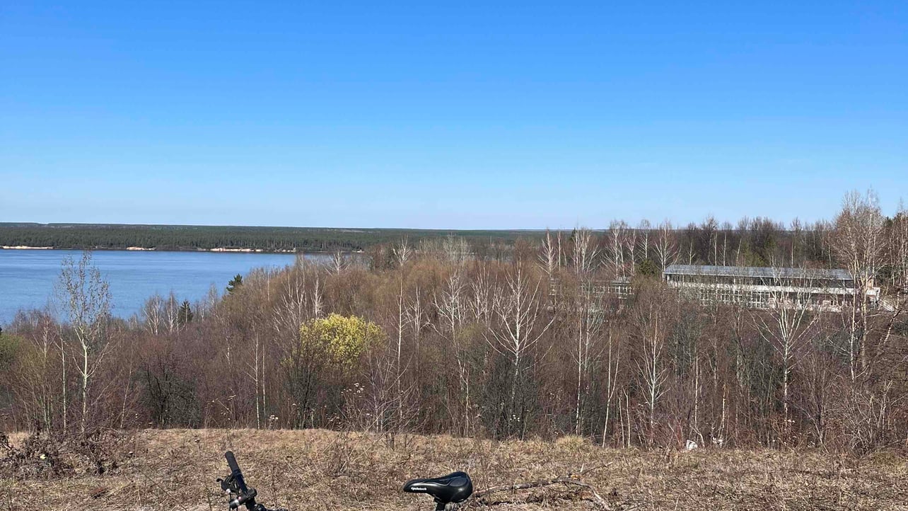 ferde (devinnash.lens) Lens social identity (.lens handle) PFP