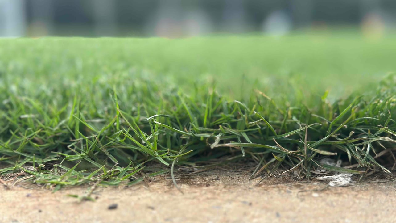 onigiri (onigiriume) Farcaster social identity (Fname handle) PFP