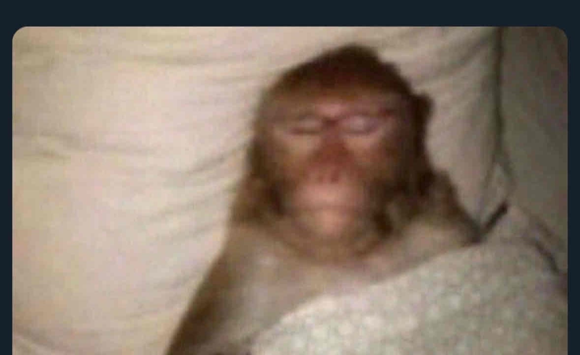 Bala pfp